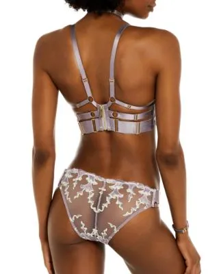 Aurea Brief