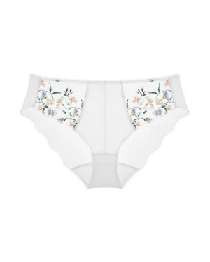 Aurelia Brief