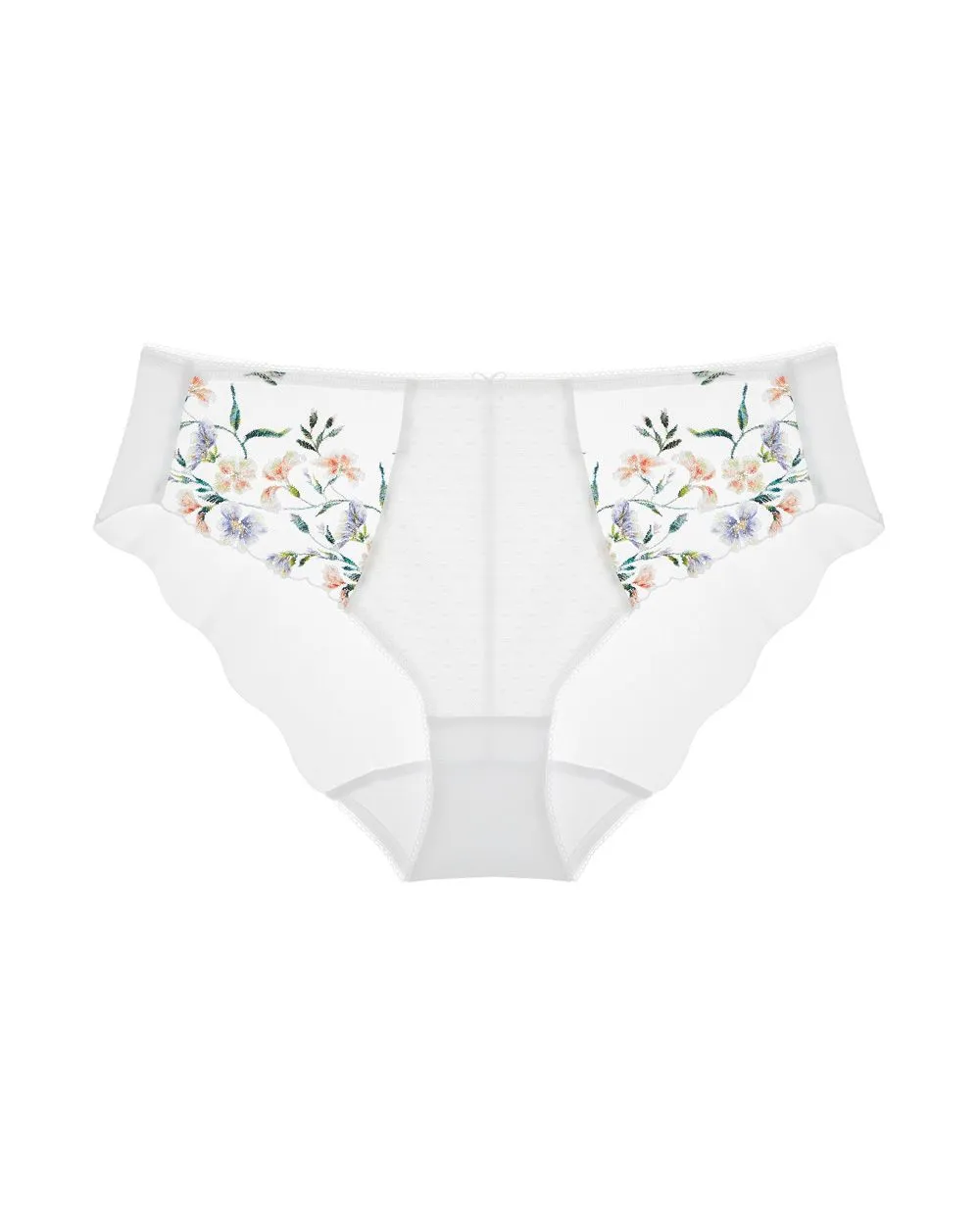 Aurelia Brief