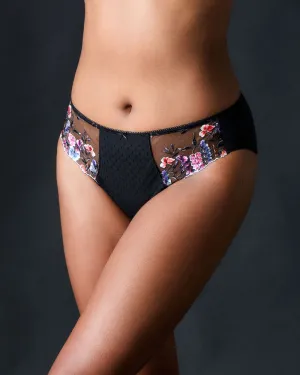 Aurelia Brief