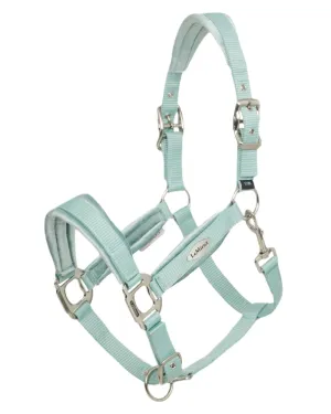 LeMieux Versailles Headcollar