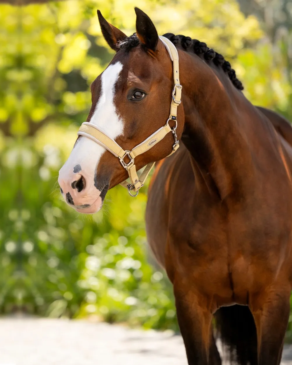 LeMieux Versailles Headcollar