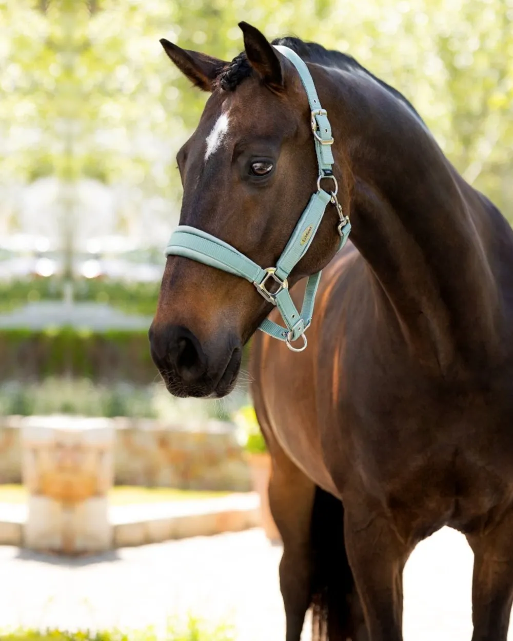 LeMieux Versailles Headcollar