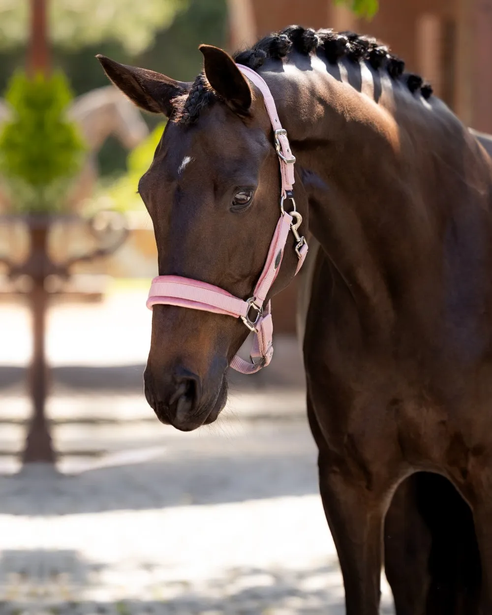 LeMieux Versailles Headcollar